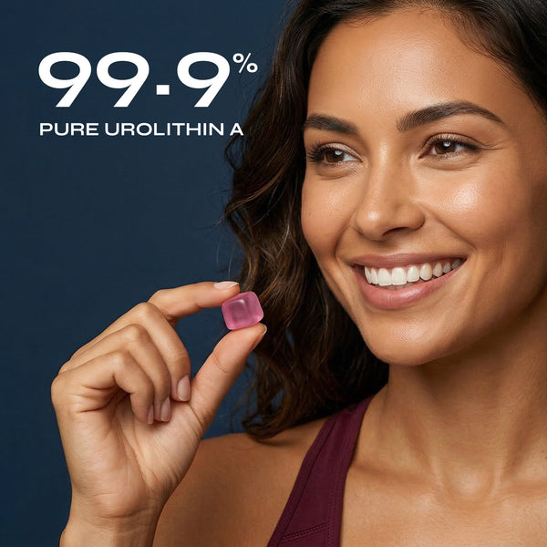 Longevity Gummies